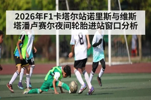 2026年F1卡塔尔站诺里斯与维斯塔潘卢赛尔夜间轮胎进站窗口分析 - kaiyun